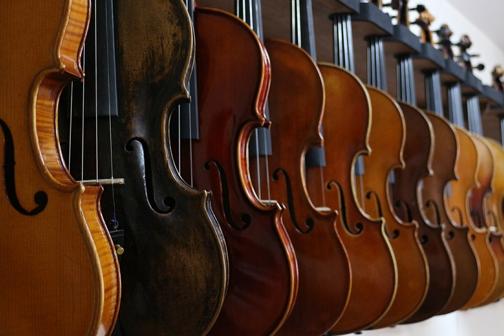 Tipos de violin