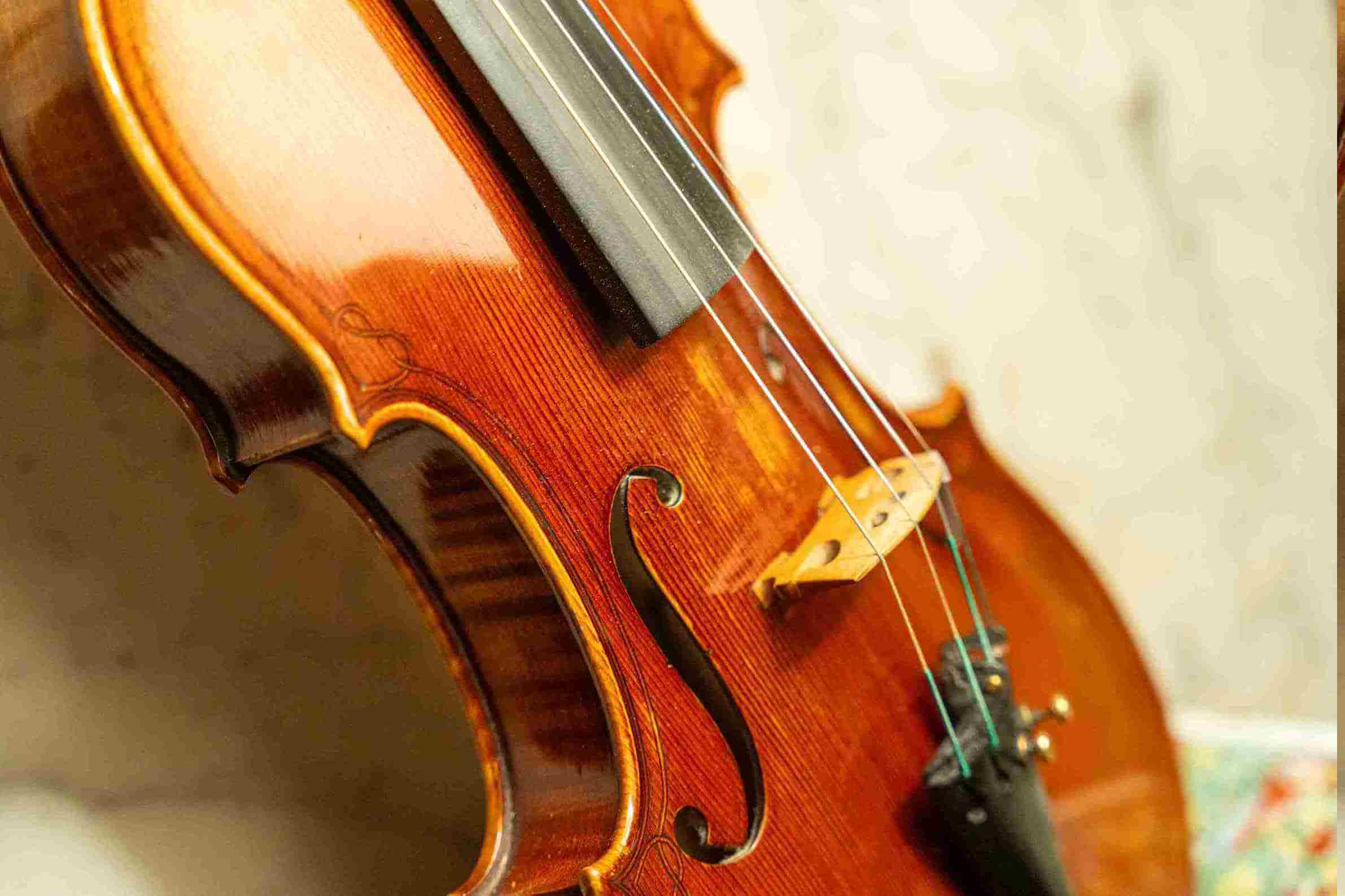 curiosidades del violin