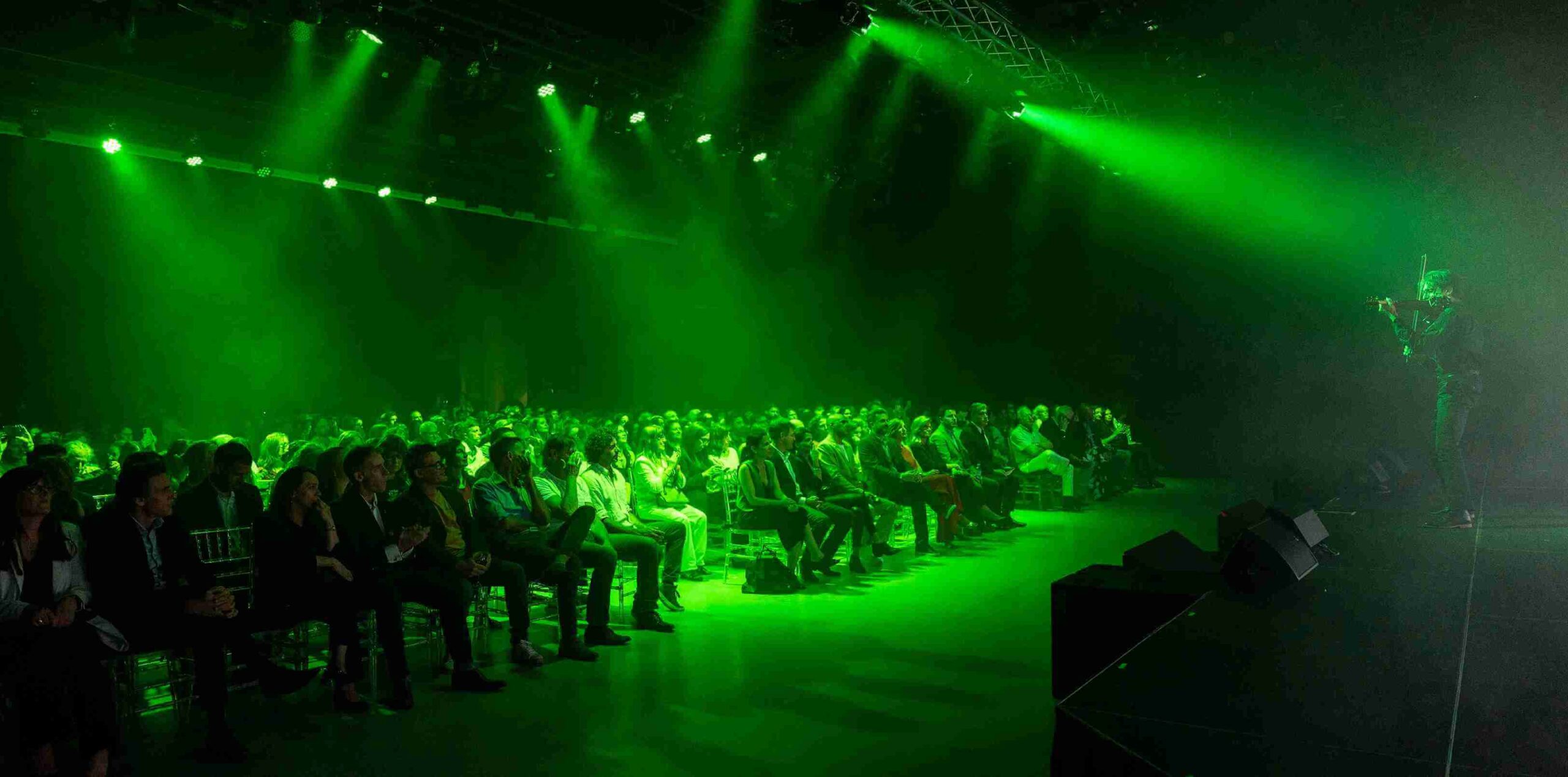 Violinista para eventos en Madrid